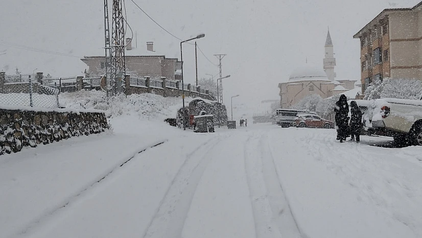 Malatya'nın Pütürge ilçesinde kar yağışı etkili oldu