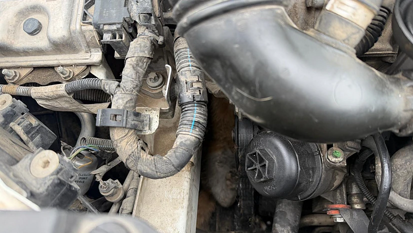 Soğuk Hava Kediyi Kaputa Hapsetti