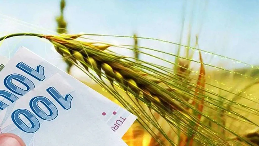 Tarımda Dev Destek: En Büyük Pay Arıcılığa