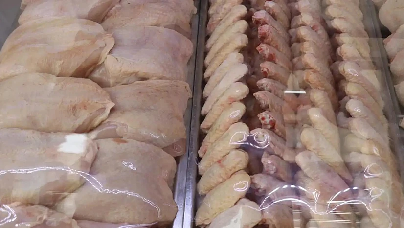 TÜİK: Tavuk Eti Artarken Yumurta Üretimi Azaldı