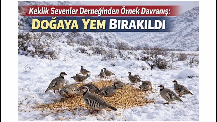 Yaban Hayvanları İçin Kritik Dönem: Avcılara Duyarlılık Çağrısı