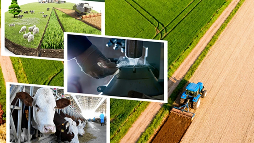 226 Milyon Liralık Tarımsal Destek Ödemesi Başladı