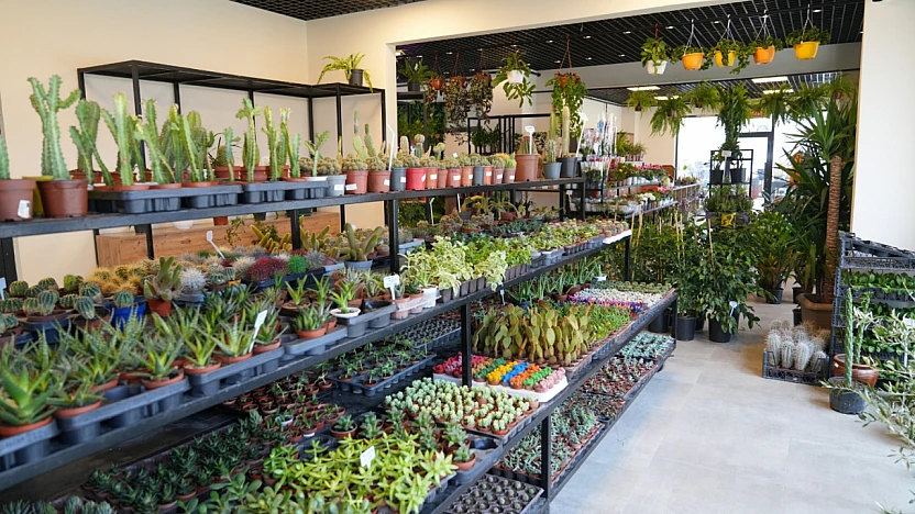 50 Bin Kişiye Hitap Edecek Dev Rekreasyon Projesi