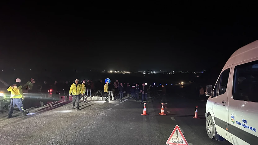 Akçadağ'da Tay Alarmı: 8 Tay Araçların Altında Kaldı