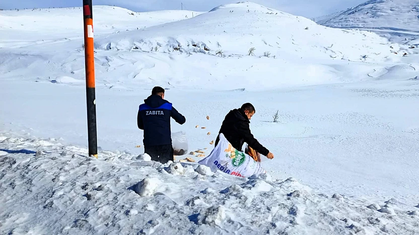 Doğanşehir'de Doğa İçin Dayanışma