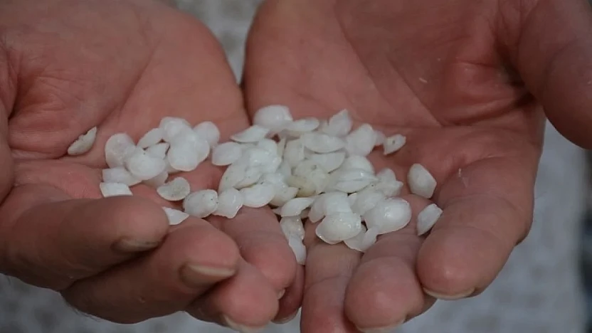 Eşkina Balığı Taşı Mucizesi