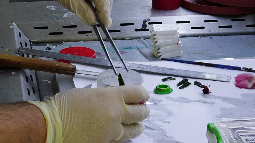 Kanserle Mücadelede Anahtar Rol: Patoloji Raporları