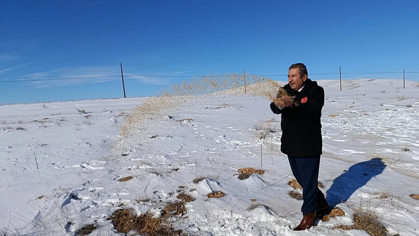 Kar Altında Yaşam Mücadelesi: Darende'de Yaban Hayvanlarına Destek