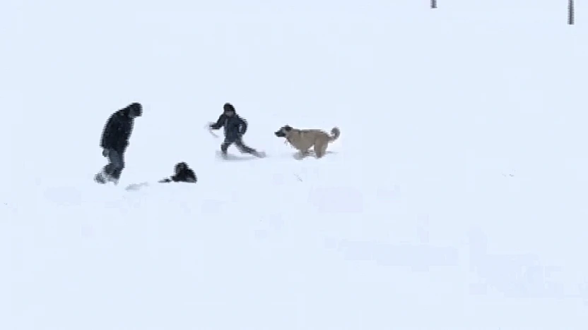 Kar, Malatya'da Çocukların Yüzünü Güldürdü