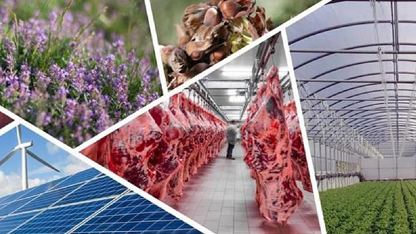 Kırsalda Üretimi Güçlendirecek Karar Resmi Gazete'de