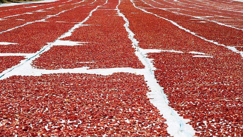 Kuru domates ihracatının yüzde 94'ü Ege Bölgesi'nden yapıldı