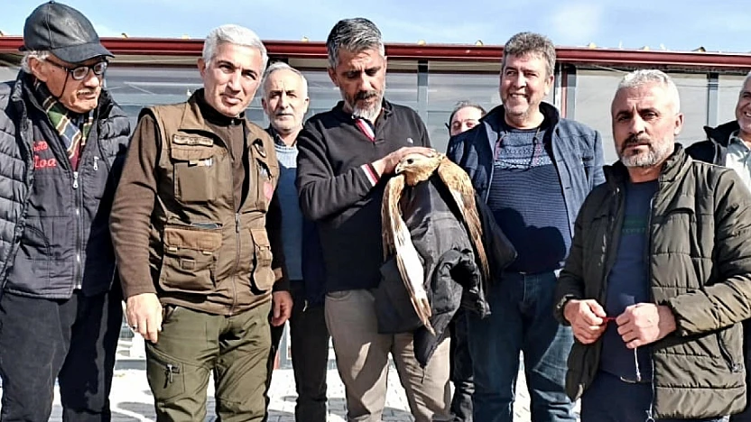 Montunu Çıkarıp Şahini Kurtardı