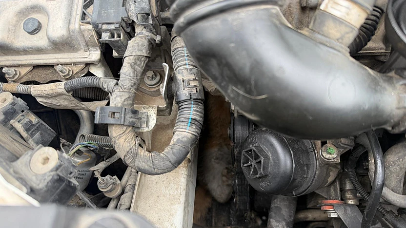 Soğuk Hava Kediyi Kaputa Hapsetti