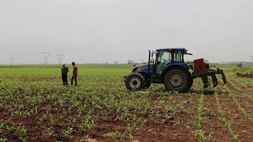 Tarımda Fiyat Baskısı Sürüyor: Sebzede Aylık Artış %30'u Geçti