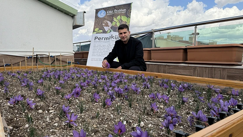 Teraslar Üretimle Buluşuyor: Ülkü Ocakları'ndan Örnek Tarım Uygulaması