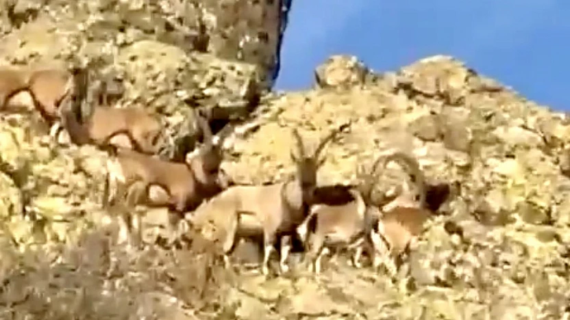 Vali Seddar Yavuz: 'Doğal Zenginliklerimizi Geleceğe Aktarmalıyız'