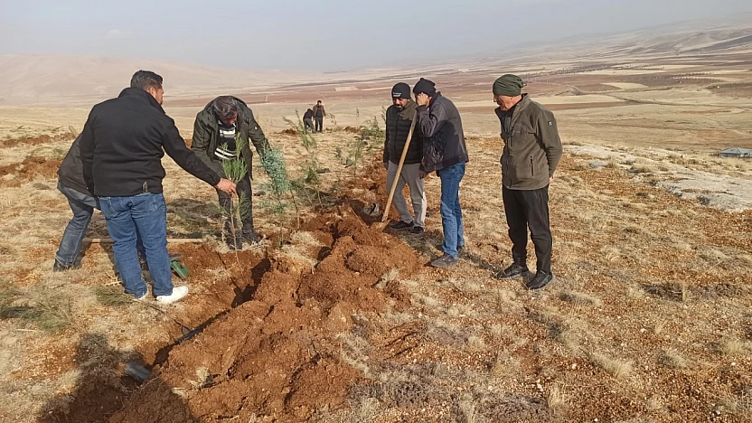 Yeniköy Mahallesi'nde 3 Bin Fidanlık Yeşil Atılım