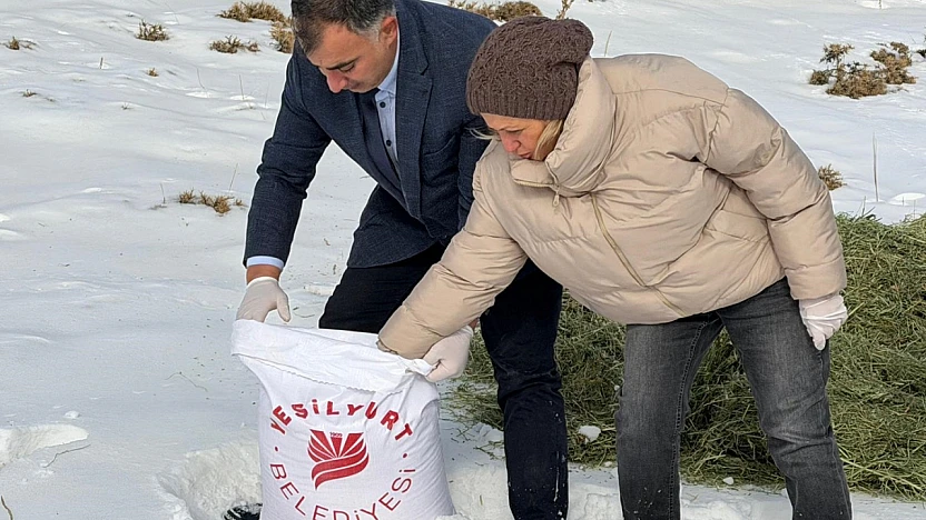 Yeşilyurt Belediyesi'nden Yaban Hayatına Yem Desteği!