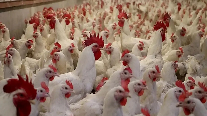 Yüzde 15'lik Artış Sonrası Bakanlık Harekete Geçti