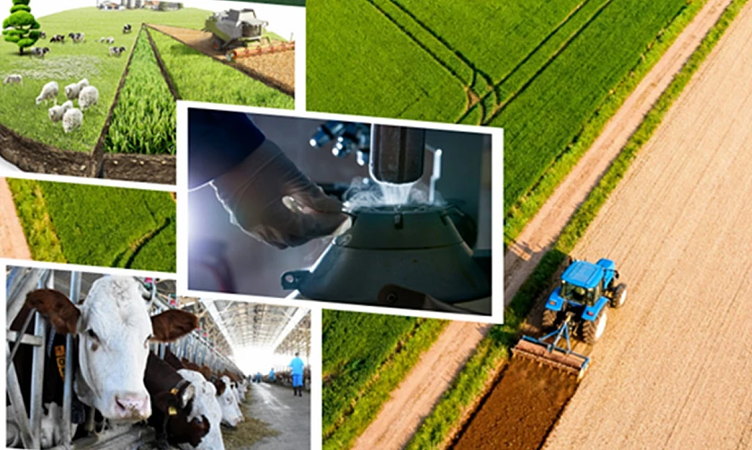 226 Milyon Liralık Tarımsal Destek Ödemesi Başladı