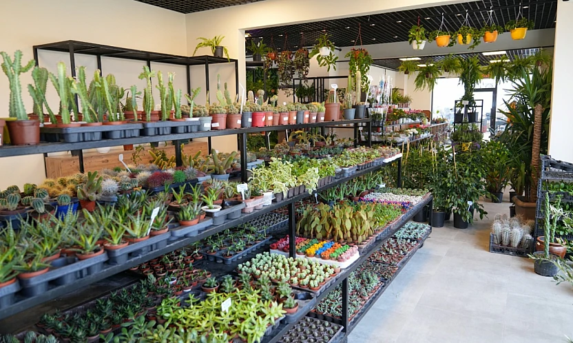 50 Bin Kişiye Hitap Edecek Dev Rekreasyon Projesi