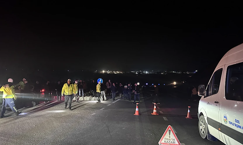 Akçadağ'da Tay Alarmı: 8 Tay Araçların Altında Kaldı