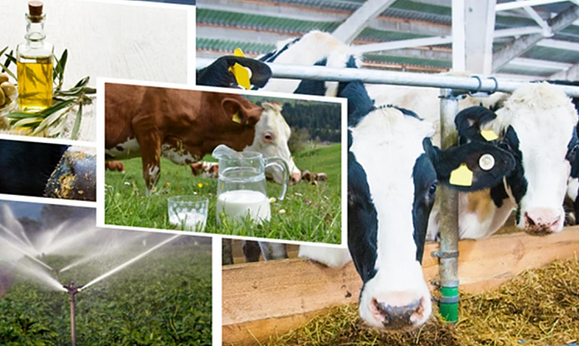 Çiftçilere tarımsal destekleme ödemesi yapılacak