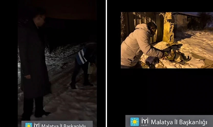 Dondurucu Soğukta Umut Oldular: İYİ Parti'den Sokak Hayvanlarına Destek
