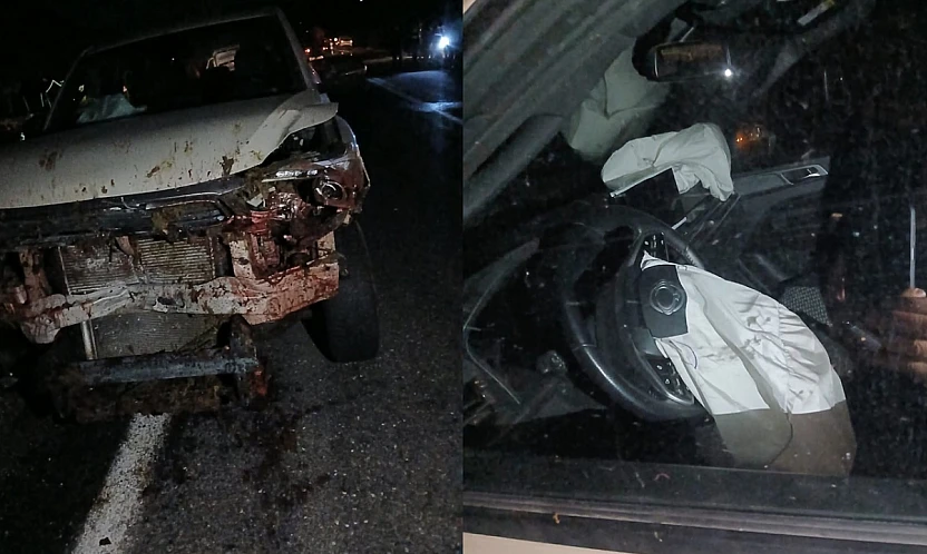 Elazığ'da Balık Şirketine Ait Araç Koyun Sürüsüne Çarptı