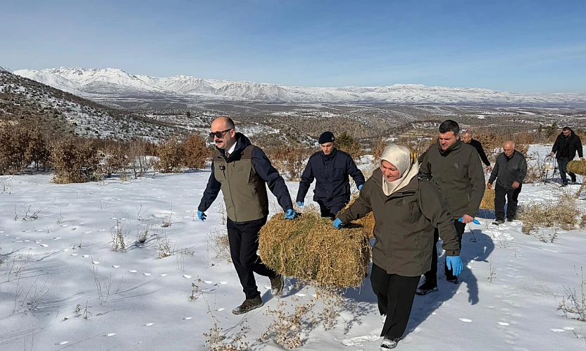 Eskiköy'de Yaban Hayatı İçin Ortak Çalışma