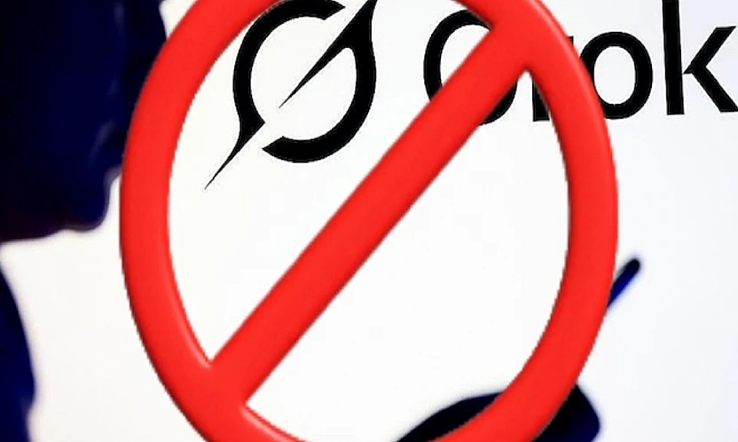 Grok İçin Geçici Kısıtlama, Kalıcı Tartışma