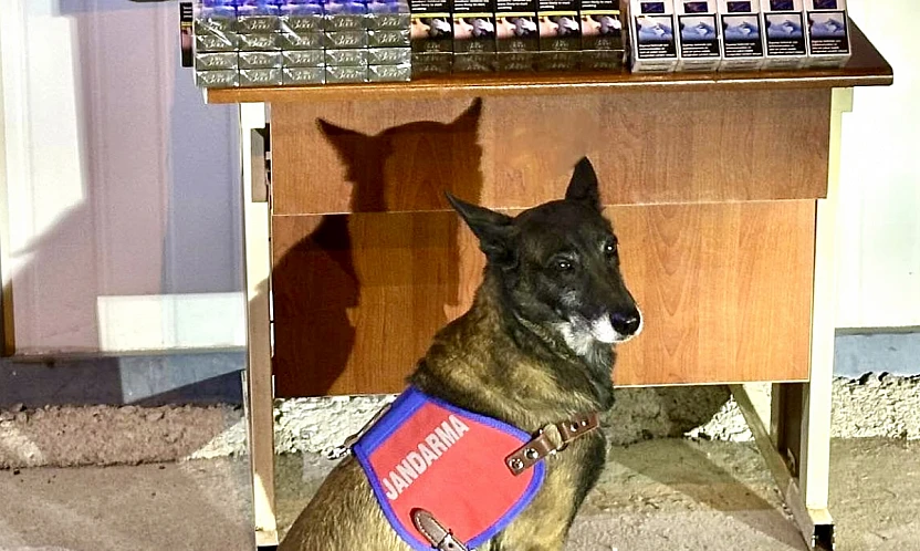 Kayseri İl Jandarma Komutanlığı'ndan Kaçakçılığa Darbe