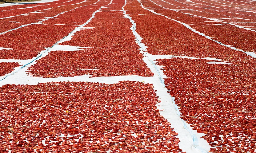 Kuru domates ihracatının yüzde 94'ü Ege Bölgesi'nden yapıldı