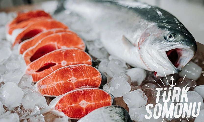 Levrek, çipura ve Türk somonu dünya sofralarında