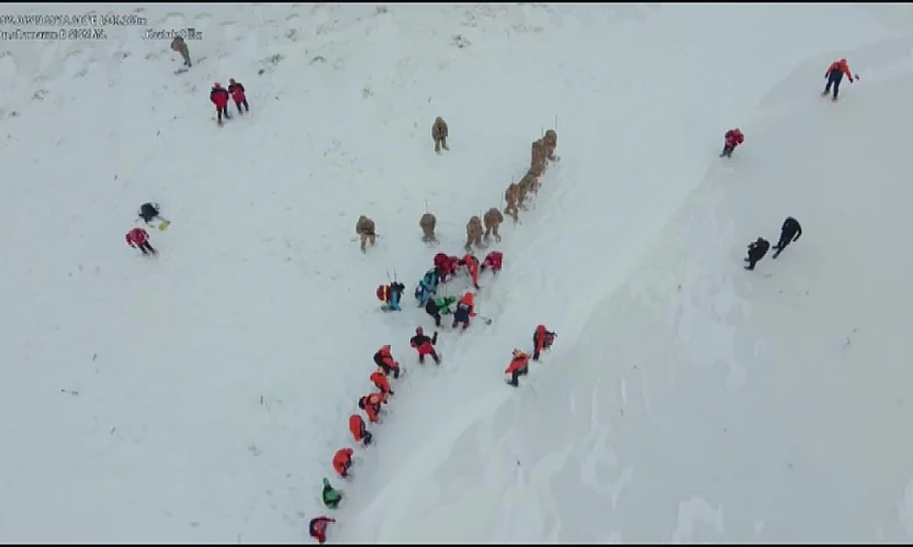 Malatya'da Kurumlar Arası Çığ Tatbikatı Başarıyla Tamamlandı