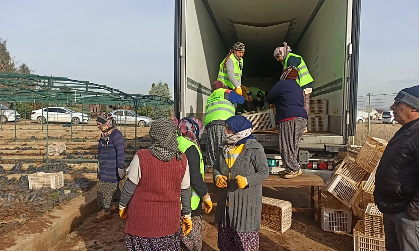 Malatya'dan Orta Asya'ya Yeşil Köprü: 50 Bin Fidan Yola Çıktı