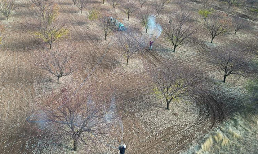 Malatya Tarım İl Müdürlüğü'nden Kayısı Üreticilerine Kritik Uyarı