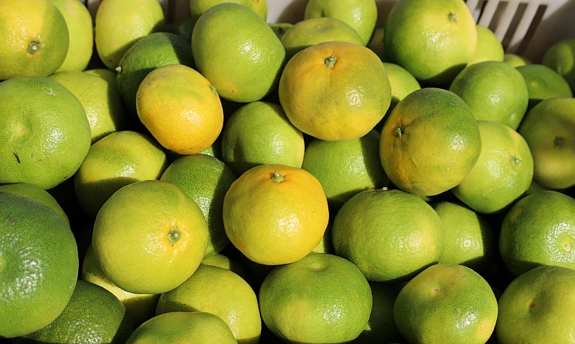 Mandalina ihracatından rekor haberi 2025 yılı bitmeden geldi