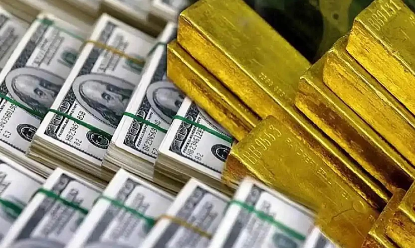 Merkez Bankası rezervleri 218 milyar 158 milyon dolarla tarihi zirveyi gördü