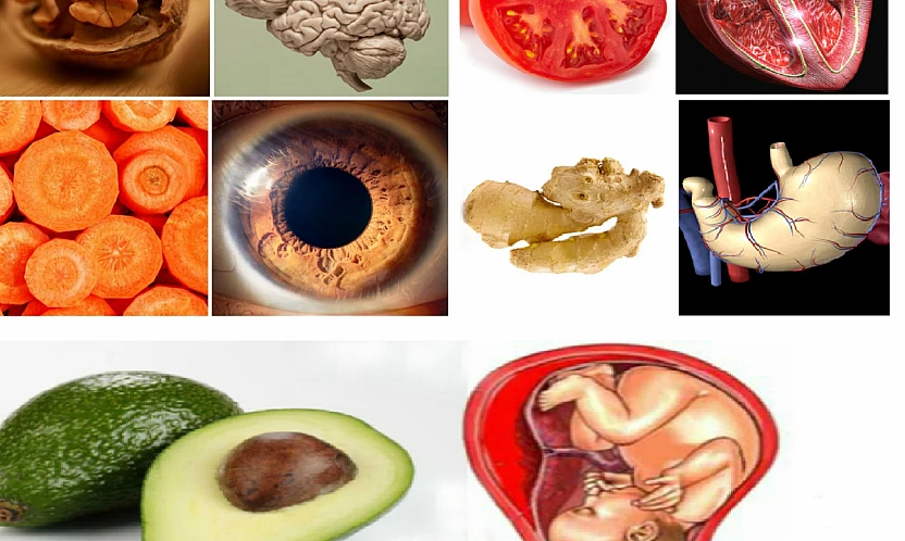 Mutfakta Şifa Var: Kalpten Beyne Organ Dostu Besinler