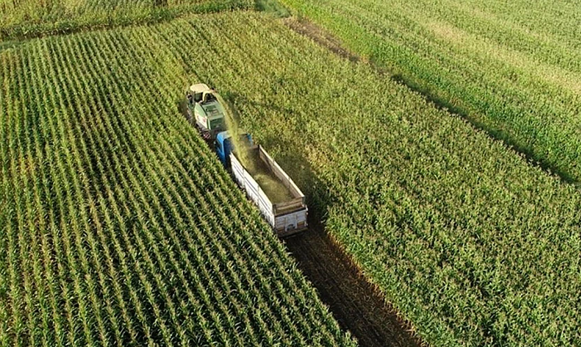 Organize Tarım Bölgeleri 2025'te 60 Bin Ton Üretim Yaptı