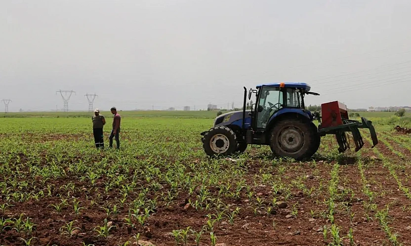 Tarım ve Orman Bakanlığı'ndan çiftçilere yeni destek paketi: 707 milyon TL