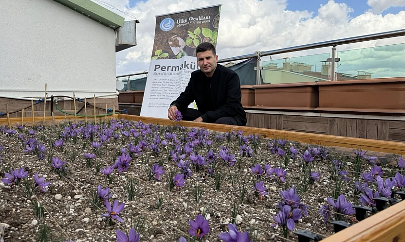 Teraslar Üretimle Buluşuyor: Ülkü Ocakları'ndan Örnek Tarım Uygulaması