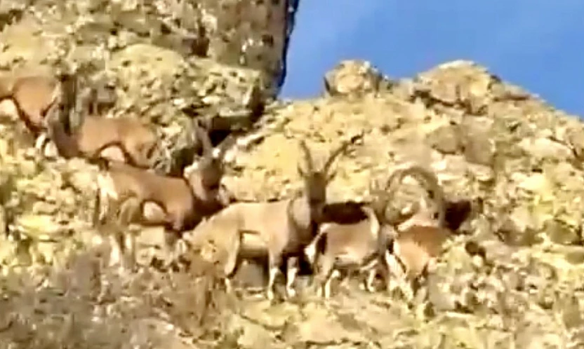 Vali Seddar Yavuz: 'Doğal Zenginliklerimizi Geleceğe Aktarmalıyız'