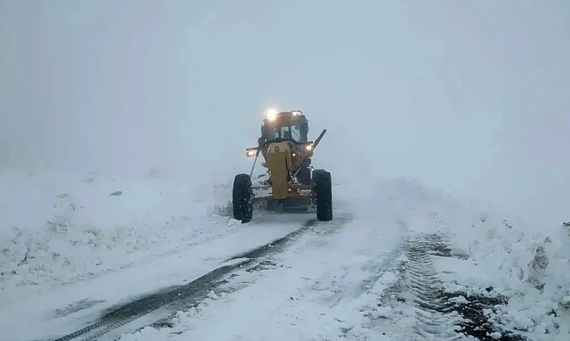 Van, Bitlis, Muş ve Hakkari'de kar alarmı