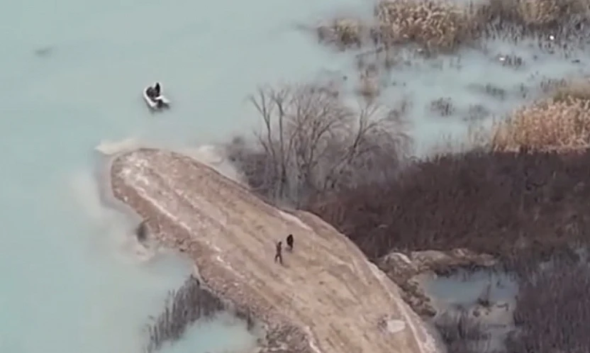 Yaban Hayatı İçin Teknoloji Seferberliği