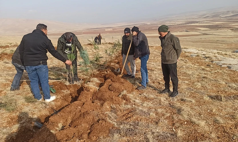 Yeniköy Mahallesi'nde 3 Bin Fidanlık Yeşil Atılım