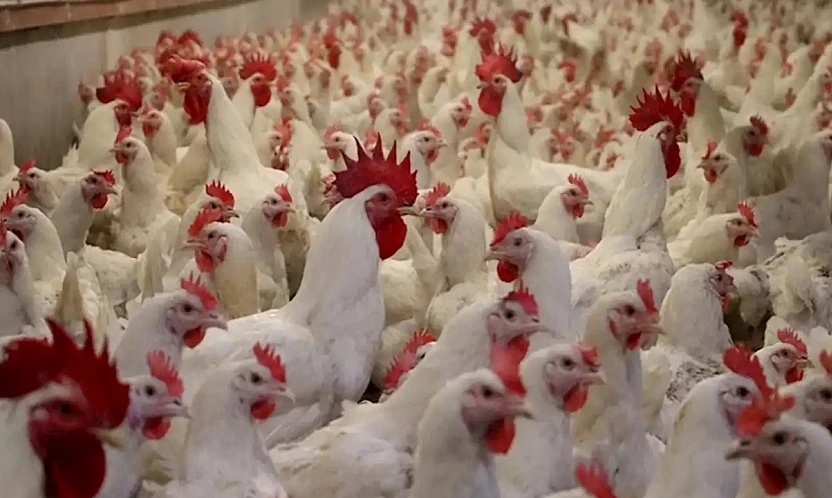 Yüzde 15'lik Artış Sonrası Bakanlık Harekete Geçti