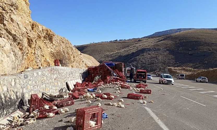 Yüzlerce Tavuk Telef Oldu, Sürücü Yaralandı: Akçadağ'da Kaza